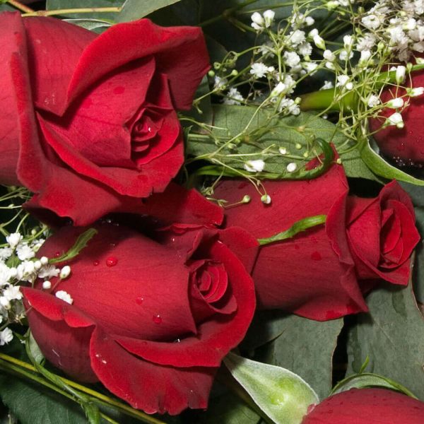 Ramo Bouquet de 12 Rosas con Bombones - Envío de flores y plantas, Florería La Fleur, Montevideo, Uruguay.