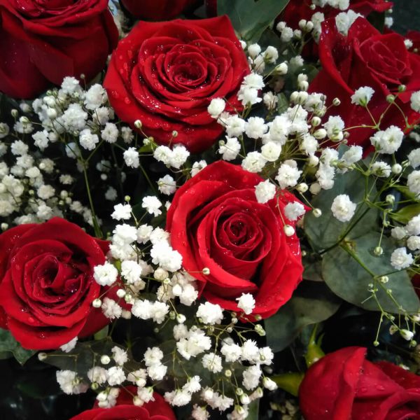 Ramo Bouquet de 24 Rosas Importadas - Florería La Fleur - Entrega de Flores y plantas en Montevideo, Uruguay_1