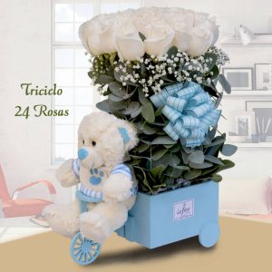 Arreglo floral Triciclo con 24 Rosas y Peluche - Envío de flores y plantas, Florería La Fleur, Montevideo, Uruguay.