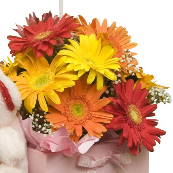 Arreglo Floral Triciclo con Gerberas, Globo y Peluche - Envío de flores y plantas, Florería La Fleur, Montevideo, Uruguay.