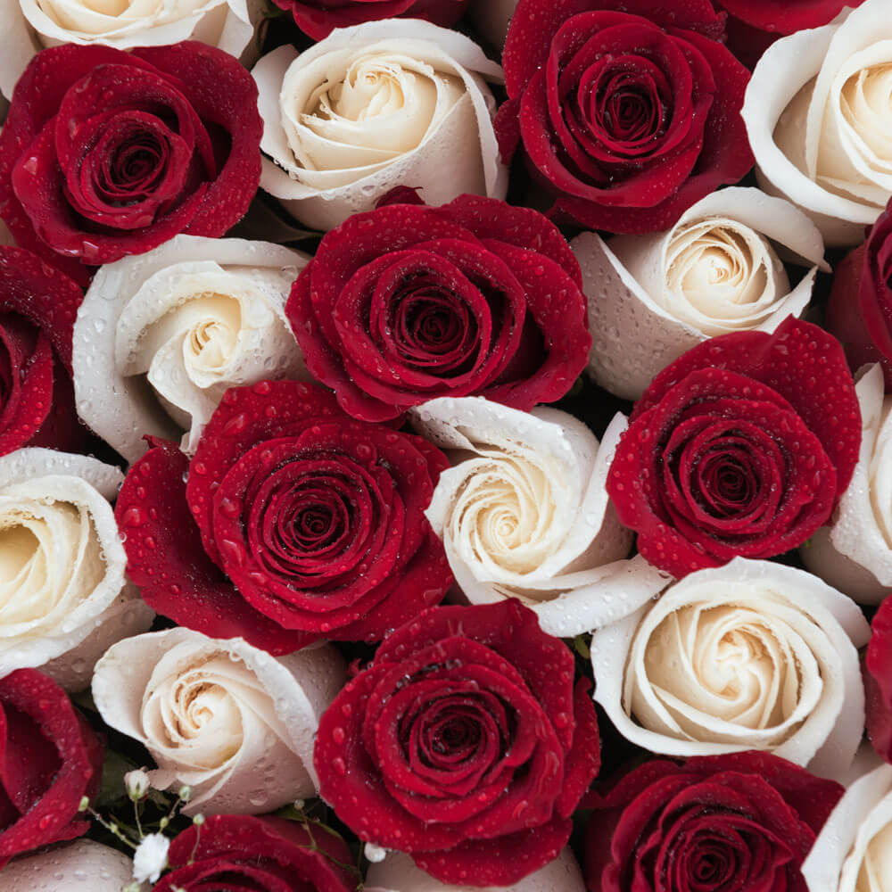 Arreglo Floral Box De 30 Rosas Naturales Entregas En El Dia