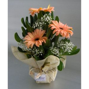 Arreglo Sofy de 3 Gerberas Importadas - Florería La Fleur, envío de flores, regalos empresariales y plantas de interior en Montevideo, Uruguay_1
