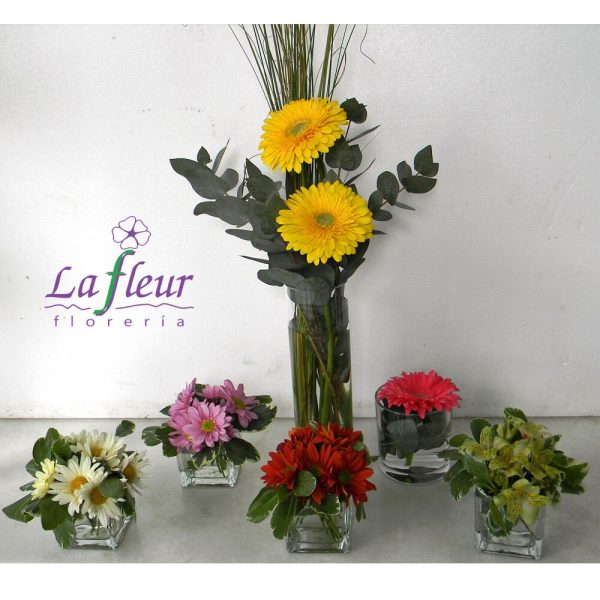 Flores Semanales para empresas - Florería La Fleur, decoración de empresas, oficinas, plantas de interior. Buceo, Montevideo, Uruguay