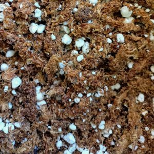 Sustrato para Plantas Carnívoras 2L PREMIUM - Florería La Fleur, Montevideo, Uruguay.