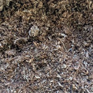 Turba Rubia de Musgo Sphagnum Pura 5L PREMIUM - Florería La Fleur, Montevideo, Uruguay