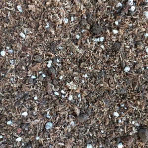 Sutrato para Cactus y Suculentas 2.5L PREMIUM - Florería La Fleur, Montevideo, Uruguay.