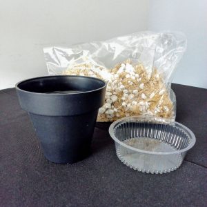 KIT Sustrato Musgo Plantas Carnívoras - Florería La Fleur, Montevideo, Uruguay